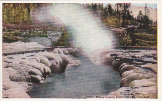 Oblong Geyser Yellowstone National Park