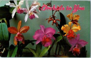 Island Orchids from Hawaii Hawaii Postcard Posted 1971