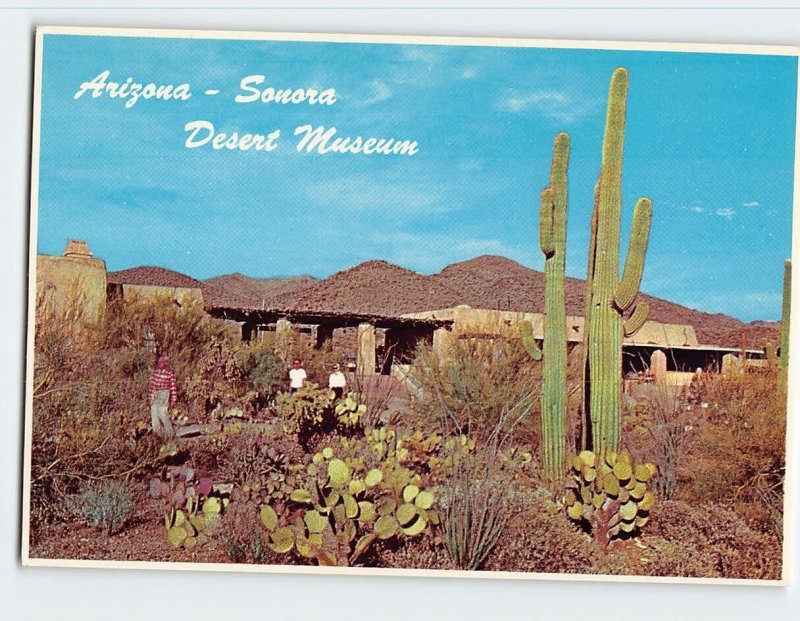 Postcard Arizona-Sonora Desert Museum, Tucson, Arizona