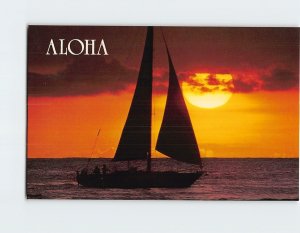 Postcard Aloha Beautiful Hawaiian Sunset Silhouettes Passing Sailboat Hawaii USA