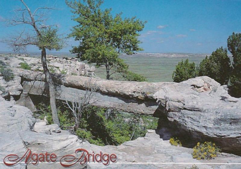 Arizona Petrified Forest National Park Agate Bridge