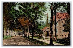 Reynolds Avenue Street View Cortland NY New York UNP DB Postcard W15