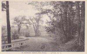 Scene In Roscoe Conkling Park Utica New York Albertype