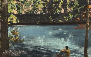 Vintage Postcard Blue Spring Big Springs Country Of The Ozarks Shanon County MO