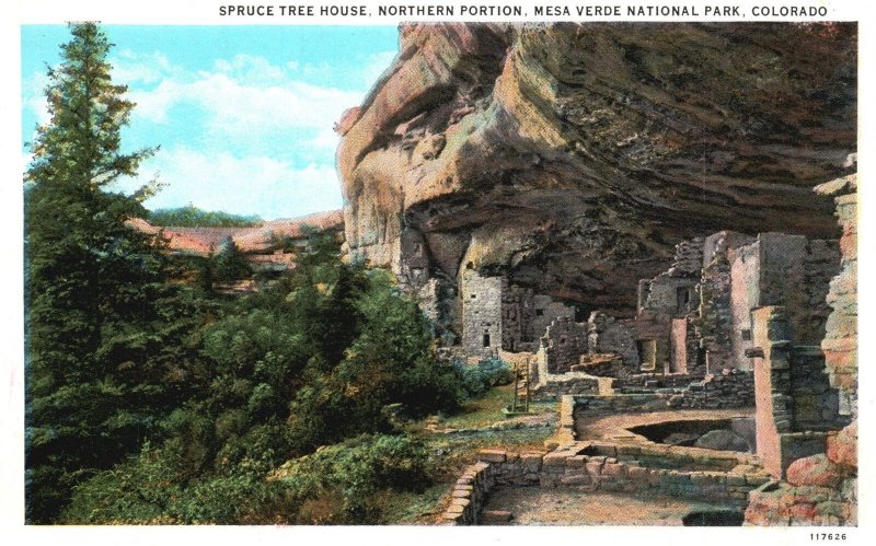 Vintage Postcard Spruce Tree House Northern Portion Mesa Verde Nat'l Park Colo.