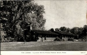 The Lodge, Illinois White Pines Forest State Park IL Vintage Postcard P32