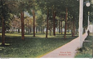 BRAMPTON, Ontario, Canada, 1900-1910's; View Of Park