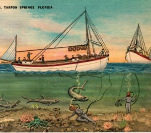 Deep Sea Diving Tarpon Springs Florida Postcard Linen  Sharks Octopus Scuba Dive