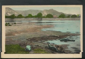 India Postcard - Alligator Tank Near Palace Jeypore   T7627