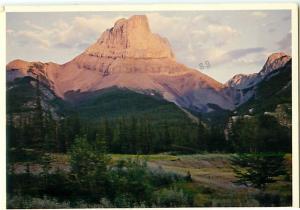 Roche Miette Jasper national Park Yellowhead Highway Athabasca  Postcard  # 6944