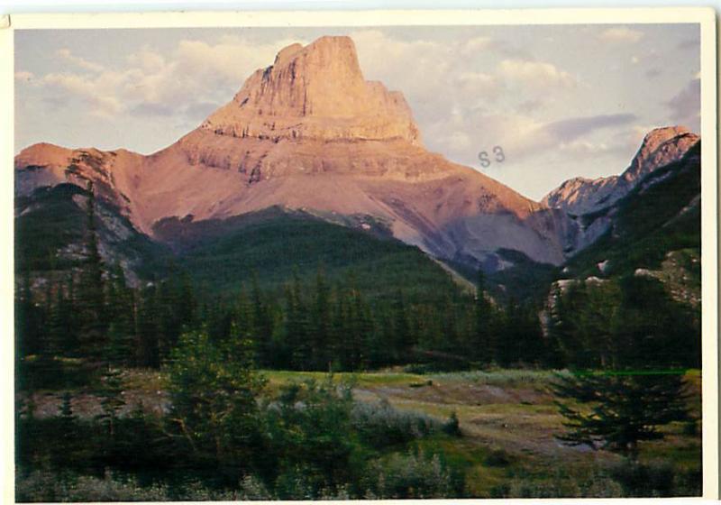 Roche Miette Jasper national Park Yellowhead Highway Athabasca  Postcard  # 6944