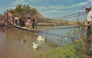 Canada Saskatoon Swinging Bridge Golden Gate Wild Animal & Bird Park Sash...