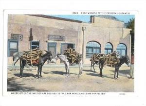 LP07    El Paso, Texas, postcard, Burro, Donkey.