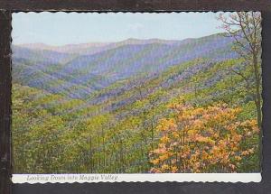 Maggie Valley NC Postcard BIN
