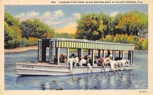 Feeding Fish From Glass Bottom Boat Silver Springs, Florida