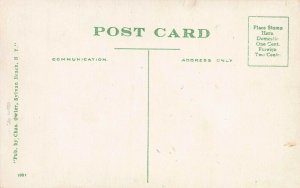St. Charles Hotel, Sylvan Beach, New York, Early Postcard, Unused