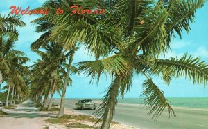 Vintage Postcard Beautiful View of Blue Waters and Sandy Beaches Florida FL