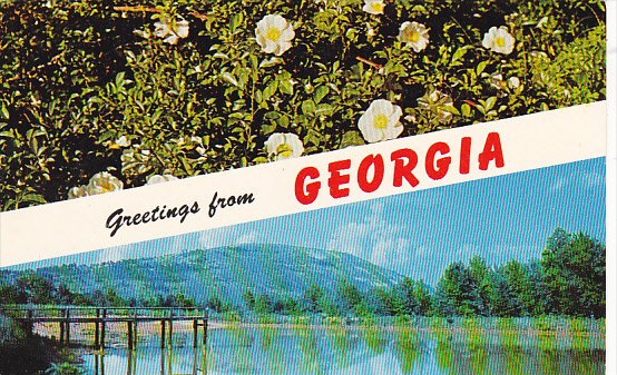 Greetings From Georgia Stone Mountain and Cherokee Rose
