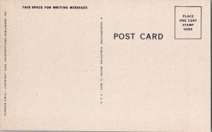 Vintage Postcard Comic Sexy Woman Pinup Risque Ji12