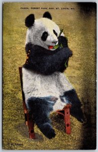 Vtg St Louis Missouri MO Panda Bear Forest Park Zoo 1940s View Linen Postcard