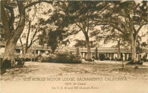 Associate Los Robles Motor Lodge Sacramento California Roadside Postcard 20-1835