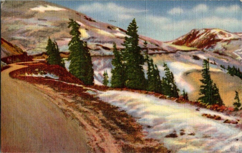 Timberline In The Rockies Colorado Vintage Postcard Standard View Card 