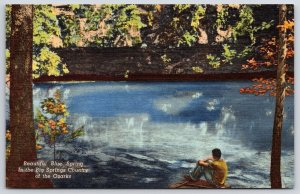 Beautiful Largest Blue Spring in Shannon County Missouri MO Vintage Postcard