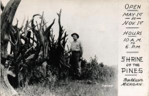 RPPC BALDWIN MICHIGAN SHRINE OF THE PINES HOURS