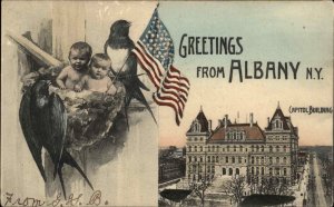 Albany NY Fantasy Baby Babies in Bird Nest Capitol Bldg c1910 Vintage Postcard