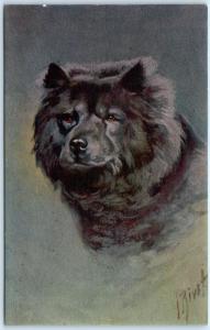 Signed Artist RIVST  -  Black CHOW CHOW Dog  Postcard