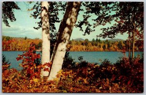 Vtg Pocahontas Arkansas AR Colorama of Beauty Autumn Colors on the Lake Postcard