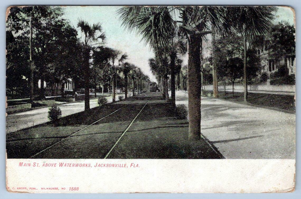 Pre1908 Jacksonville Florida Main ST Above Waterworks*Palm Trees