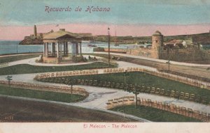 El Malacon Habana Cuba Antique Postcard