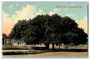 c1910's The Big Oak Tree Dirt Road Street Thomasville Georgia GA Posted Postcard