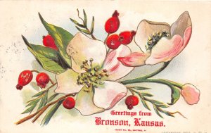 J60/ Bronson Kansas Postcard c1910 Greetings from Bronson Kansas 313