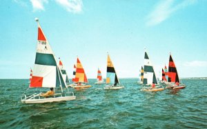 Vintage Postcard Aqua Cat Races Sailboats Ocean Cape Cod Massachusetts J. Lazaru