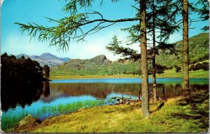 Blea Tarn Langdales Lake Reflection Mountains Postcard 