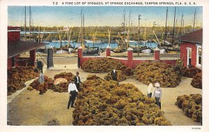 A Fine Lot of Sponges At Sponge Exchange Tarpon Springs FL