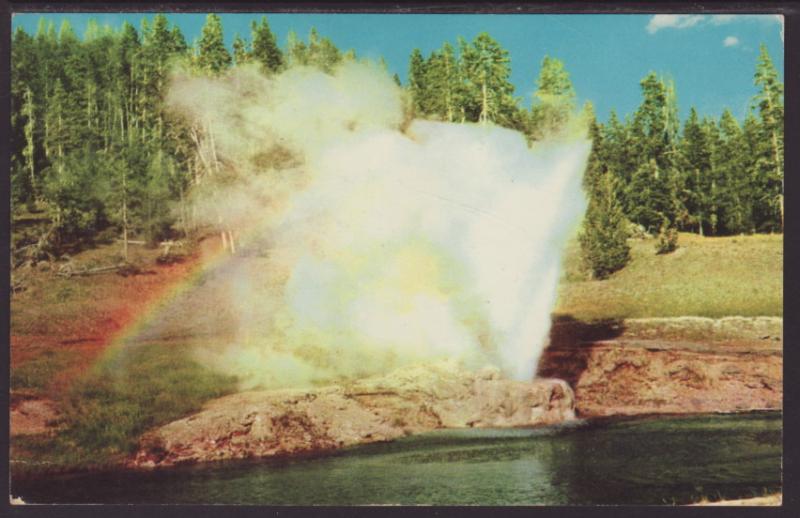 Riverside Geyser,Yellowstone Postcard BIN