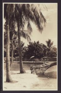 Palms,Coral Gables,Miami,FL