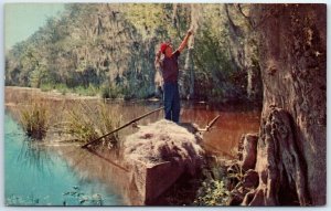 Postcard - Gathering Spanish Moss - the Southeast