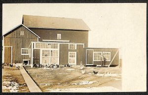 RPPC FEEDING CHICKENS HENS POULTRY FARM REAL PHOTO POSTCARD (c. 1910)