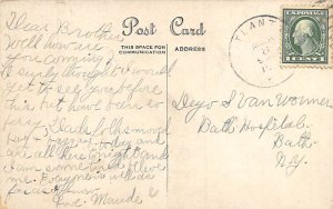 Friendship Butterfly Postcard