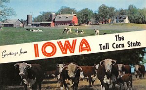 Greetings From Tall Corn State Greetings from, Iowa