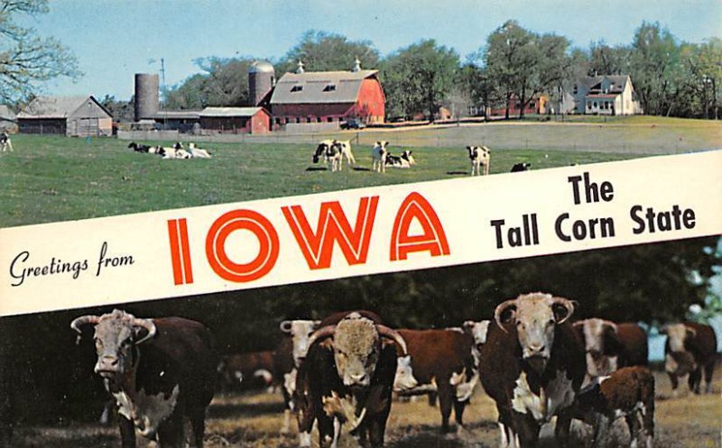 Greetings From Tall Corn State Greetings from, Iowa