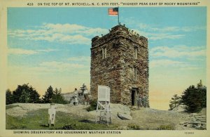 On the Top of Mt. Michell, N. C. Rocky Mountains Vintage Postcard P58