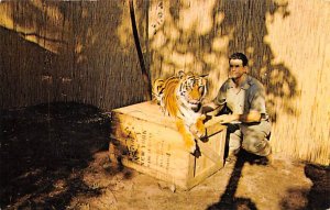 Cedar Point-On-Lake Erie Sandusky, Ohio OH