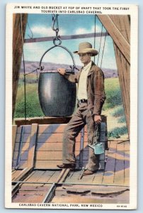 Carlsbad New Mexico Postcard Jim White Old Bucket Top Shaft Carlsbad Cavern 1940