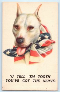 WWI American Pit Bull Terrier Dog Postcard