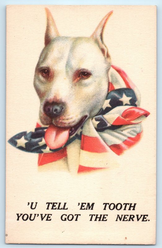 WWI American Pit Bull Terrier Dog Postcard